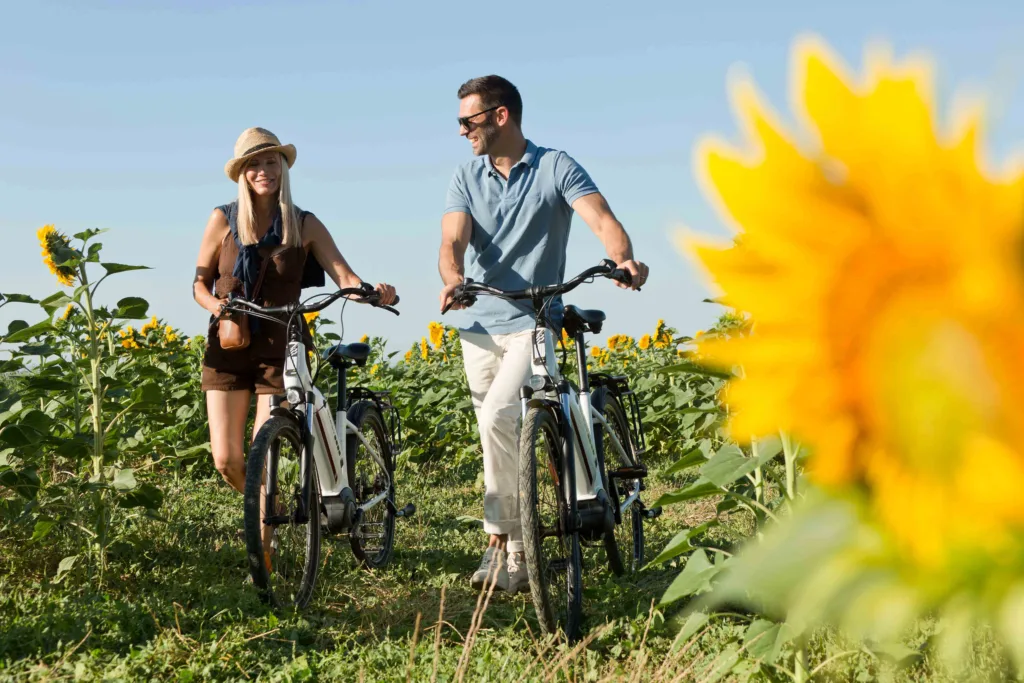 Photo_velo_tournesol