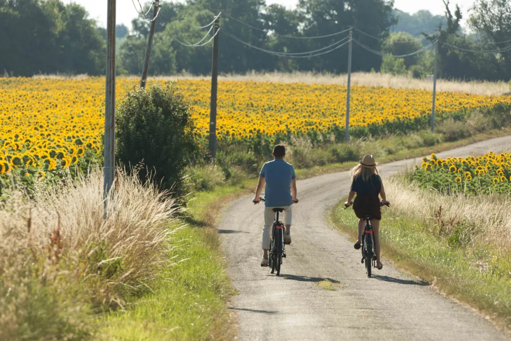 Photo_velo_tournesol